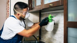 featured-image-pest-control